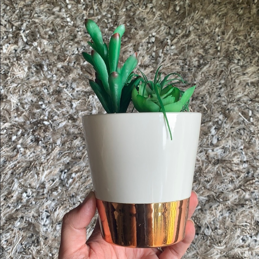 Rose‎ gold Succulent ceramic and metallic plant pot